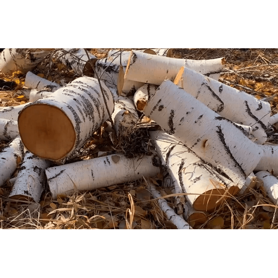 Дрова квартирные (в чурках)