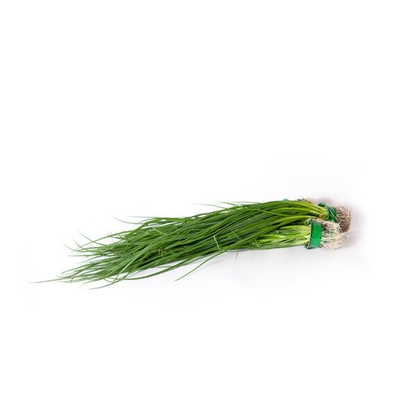 ​Зеленый лук