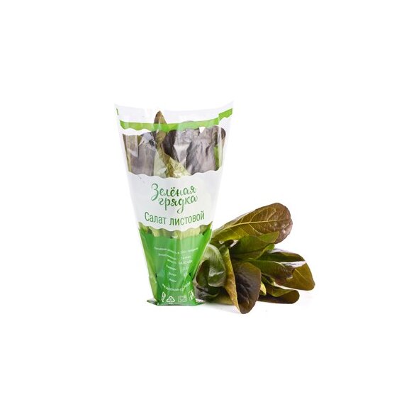 ​Салат Ромэн в горшочке