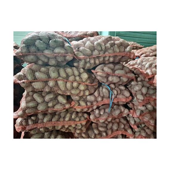 Картофель клипса