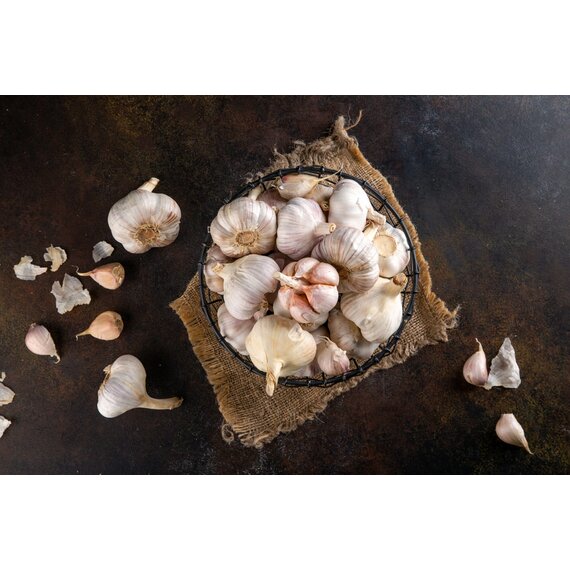 Чеснок товарный