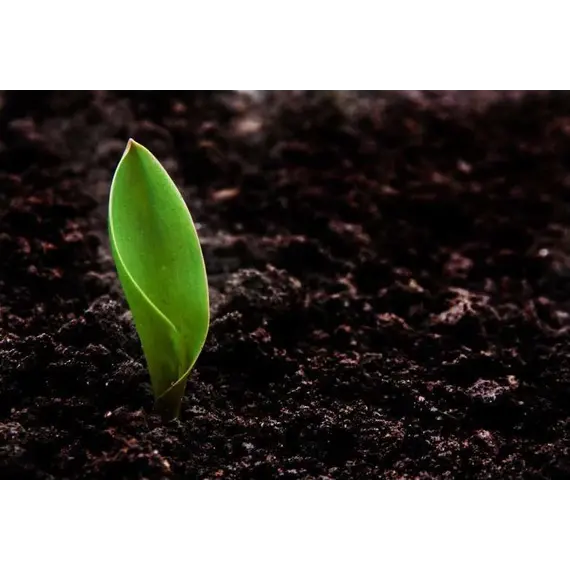 Грунт плодородный