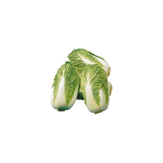 Пекинская капуста