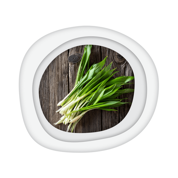 Чеснок зеленый