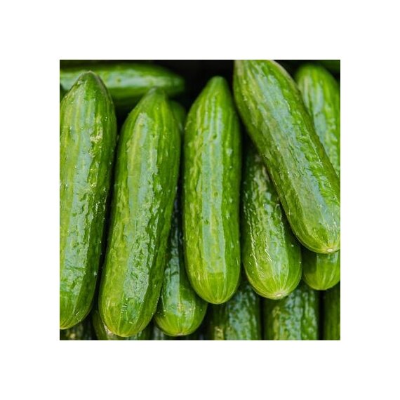 Огурцы