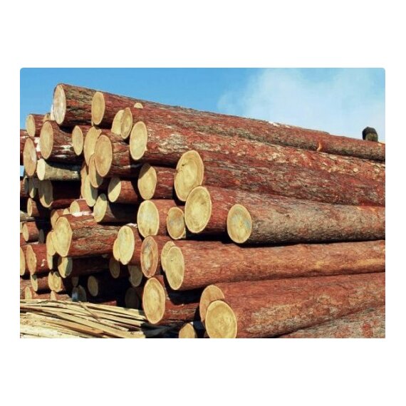 Балансы хвойные