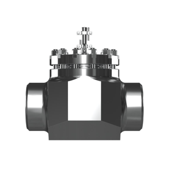 Затворы обратные