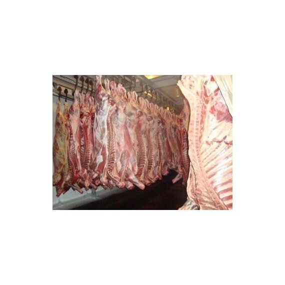 Готовая продукция, полутуши и четвертины