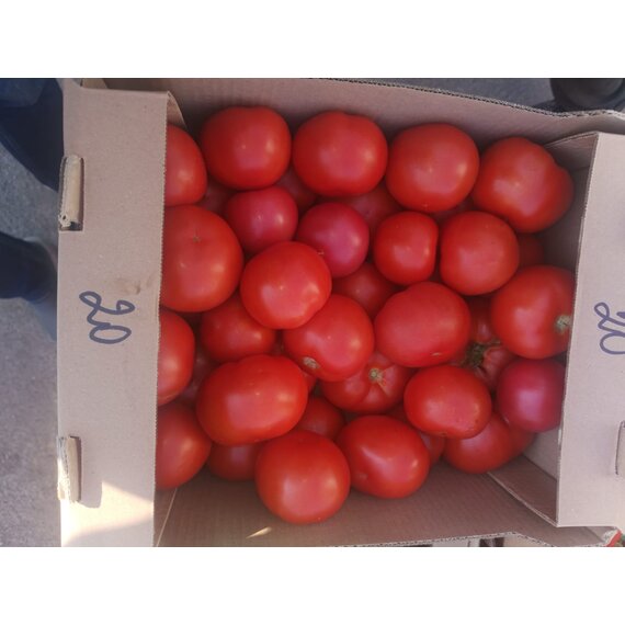 Помидоры