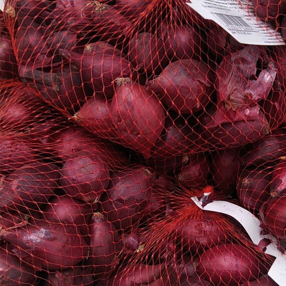 Лук-севок Ред Барон