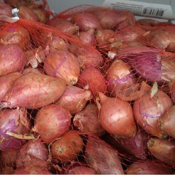 Лук-севок Россана