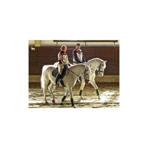 Песок для конного спорта