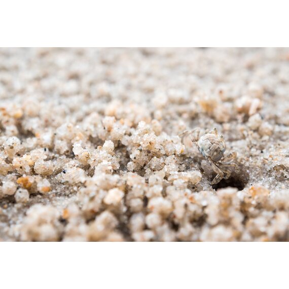 Кварцевый песок 1,2 - 3,0 мм