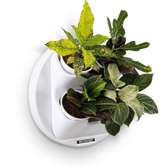 Фитомодуль BOXSAND-4 RING белый с белыми горшками 1 литр вместимость вместимость 4 растения
