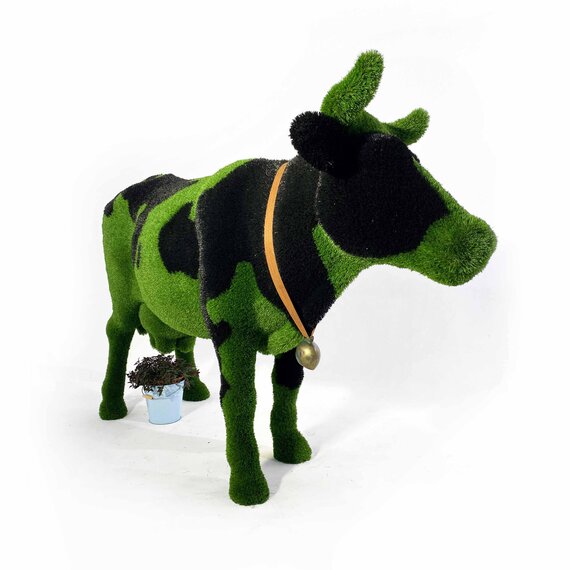 Корова пятнистая