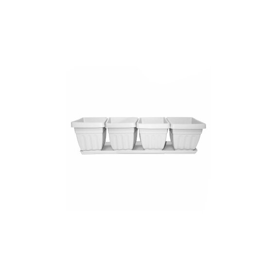 Квартет Ирис, 50 см