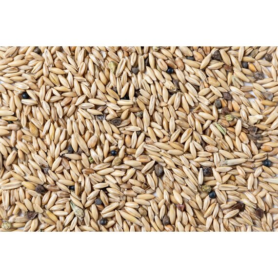 Овёс фуражный