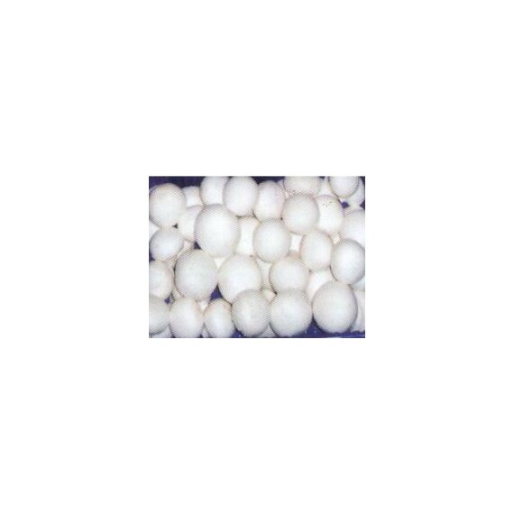 Шампиньоны на вес