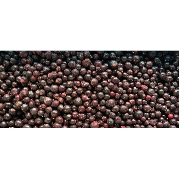 Замороженная черная смородина