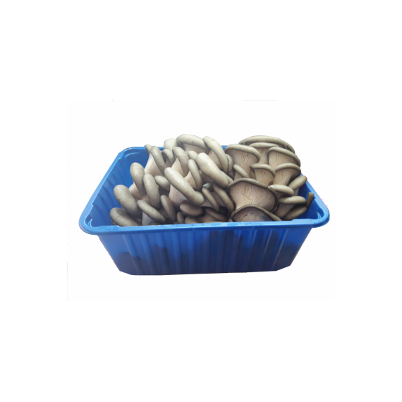 Вешенка фасованная (300гр)