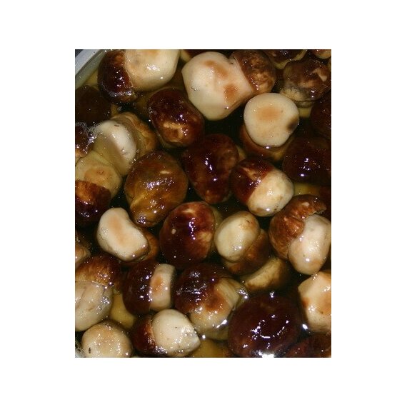 Белый гриб солено-отварной (40 кг)