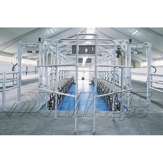 Доильные залы «Ёлочка 30° с подъёмным барьером»