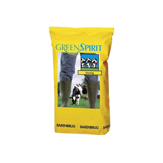 ГринCпирит Продуктивность I