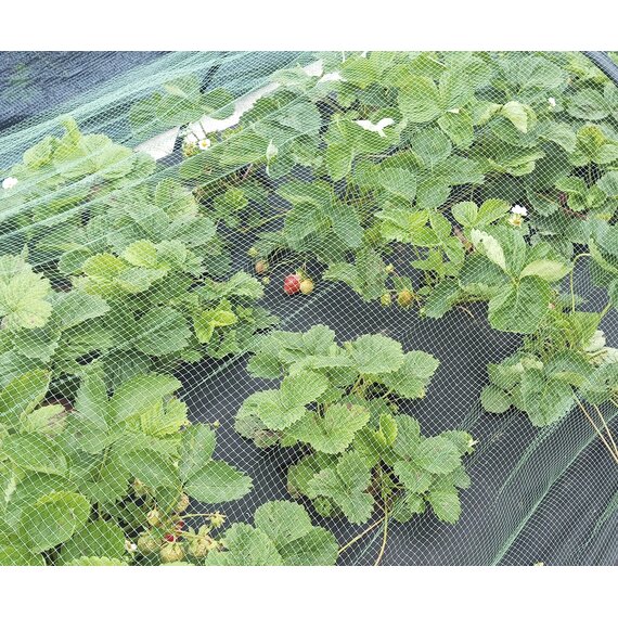Сетка для защиты урожая от птиц У-6, ячейка 6х6 мм, рулон 2х100 м