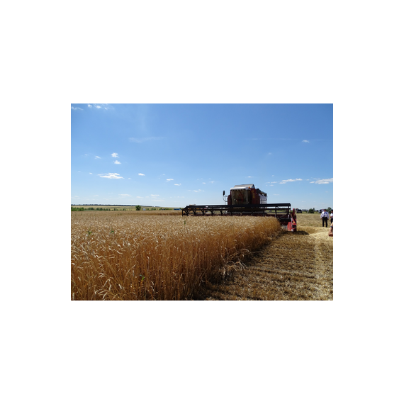 Жатки транспортные навесные ЖТ