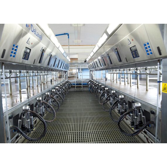 Доильный зал с параллельными стойлами P2100