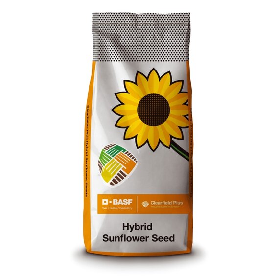 АКОРДИС СЛП