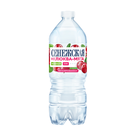 Вода КЛЮКВА-МЯТА БЕЗ ГАЗА