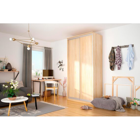 Шкаф-купе Престиж ЭКО 100х240х60 см арт 4064