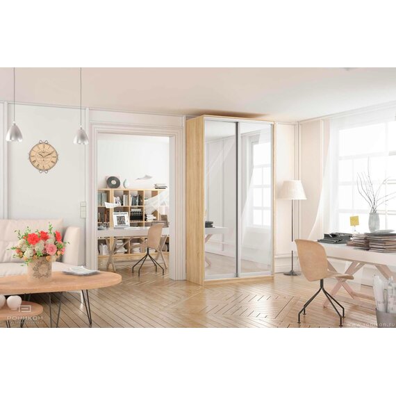 Шкаф-купе Престиж ЭКО 120х240х60 см арт 4090