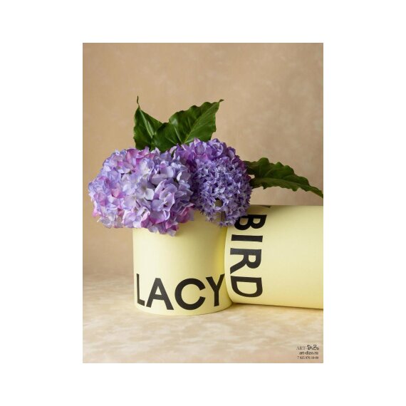 Коробка 23×26 см в дизайнерской бумаге с логотипом (шелкография)