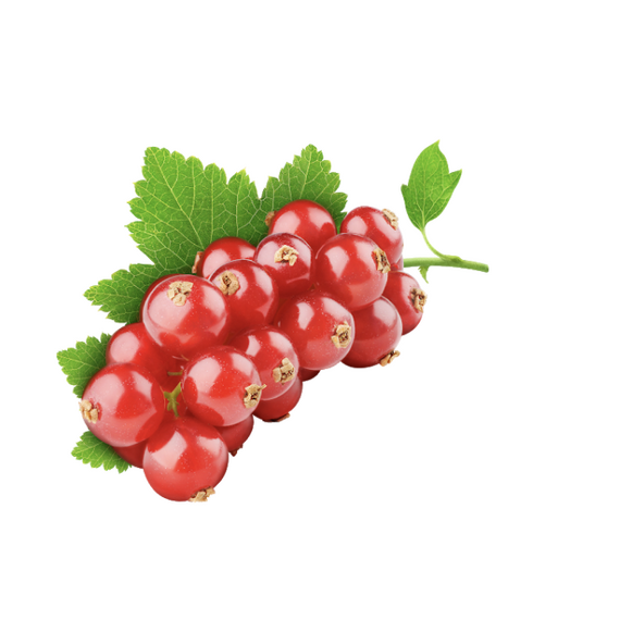 Замороженная красная смородина