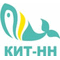 ООО "Кит-НН"