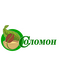 ООО СОЛОМОН РАЗВИТИЕ 2025